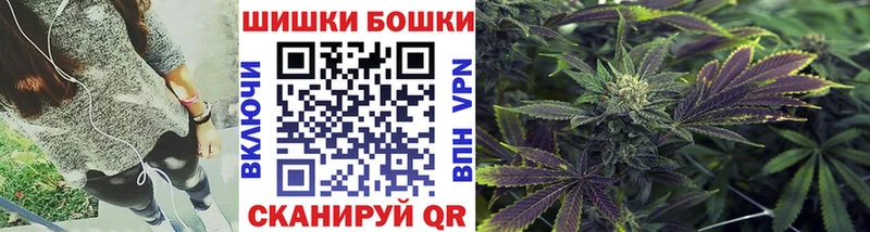 Бошки Шишки семена  Купить закладки  Слободской 